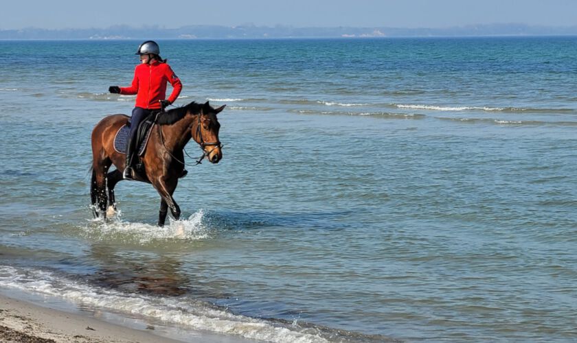 Reiten am Meer