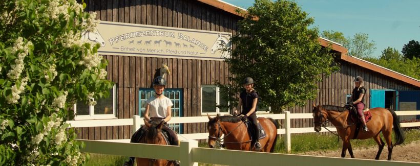 Reiten an der Ostsee