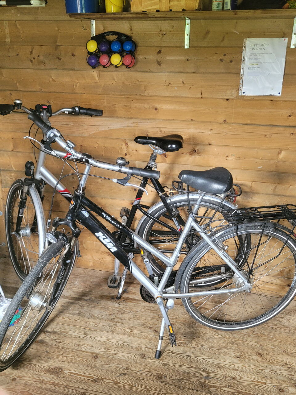 Reetdachhaus Laurin in Dranske