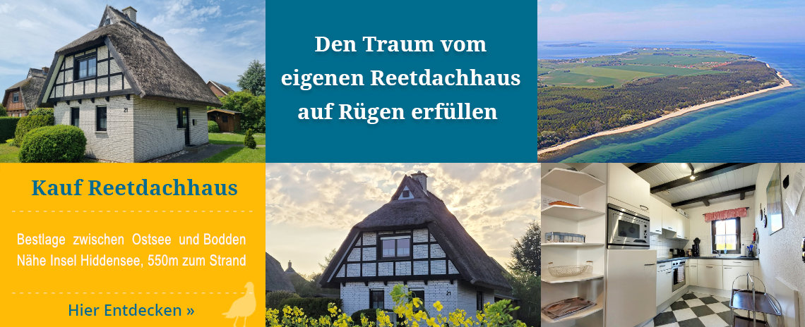 Reetdachhaus kaufen