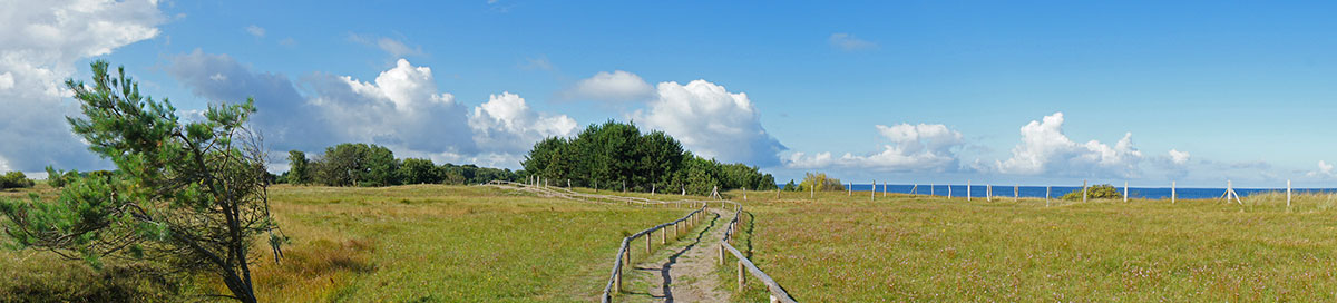 Direkt angrenzendes Naturschutzgebiet „Kreptitzer Heide“