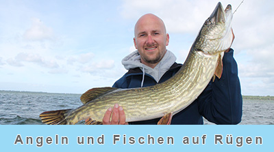 Angeln und Fischen auf Rügen