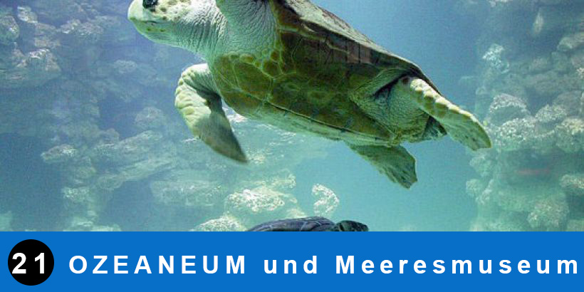 OZEANEUM und Meeresmuseum Stralsund